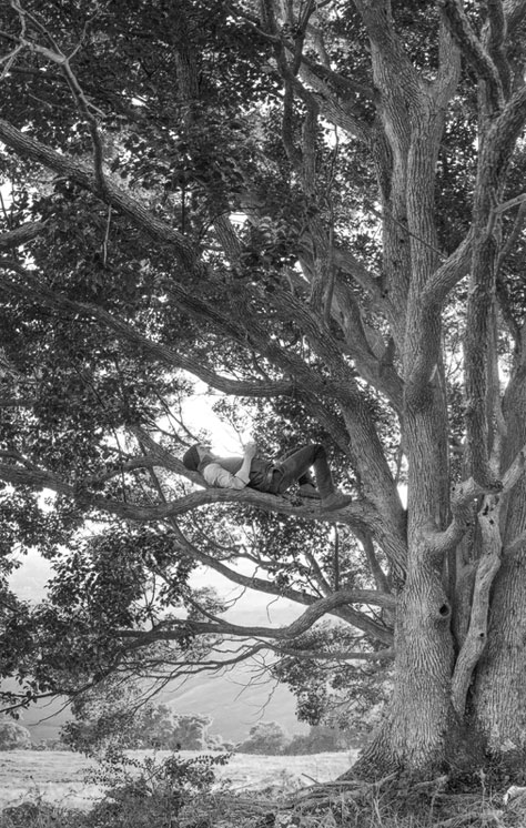 “郝”營(yíng)造